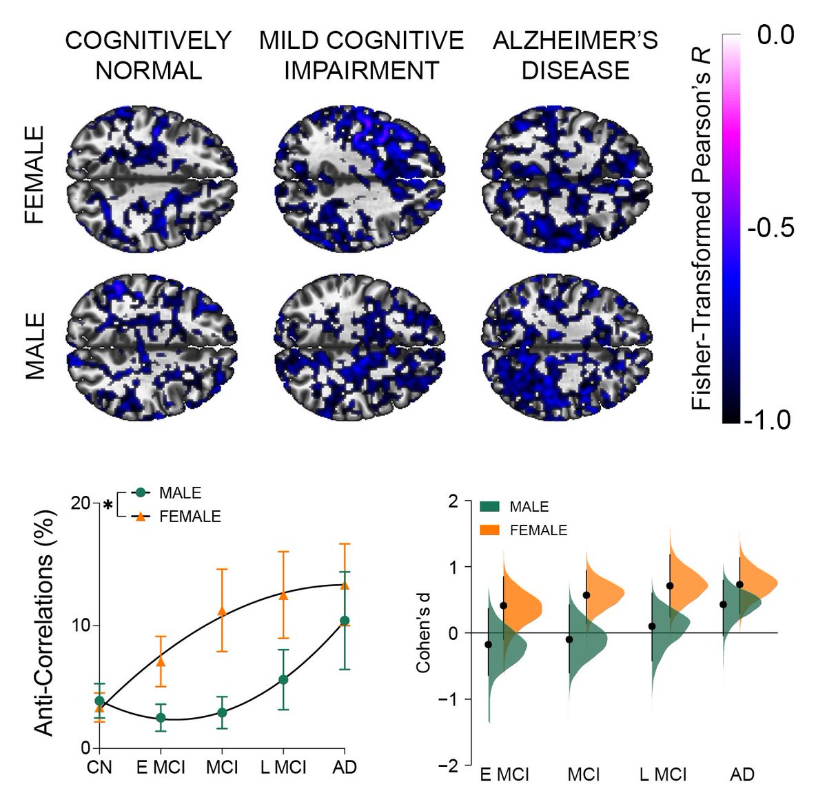 Dylan Terstege tweet media