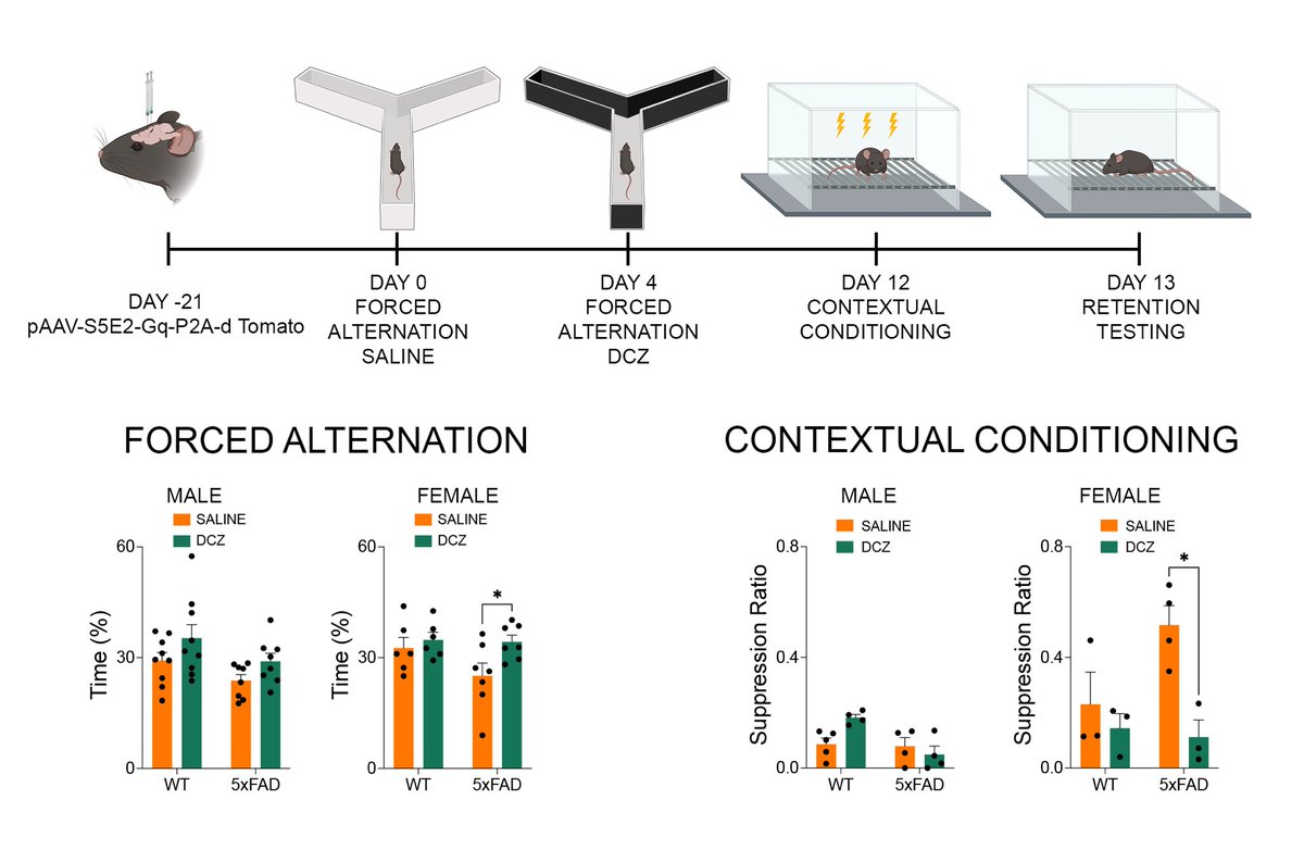 Dylan Terstege tweet media