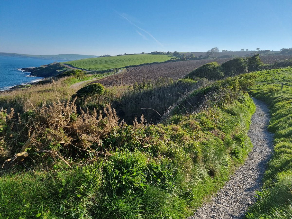 Life on the edge!!
Making good progress on the Fuchsia Loop upgrade.