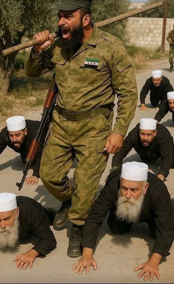 الشيخ محمد علي ايوب tweet media