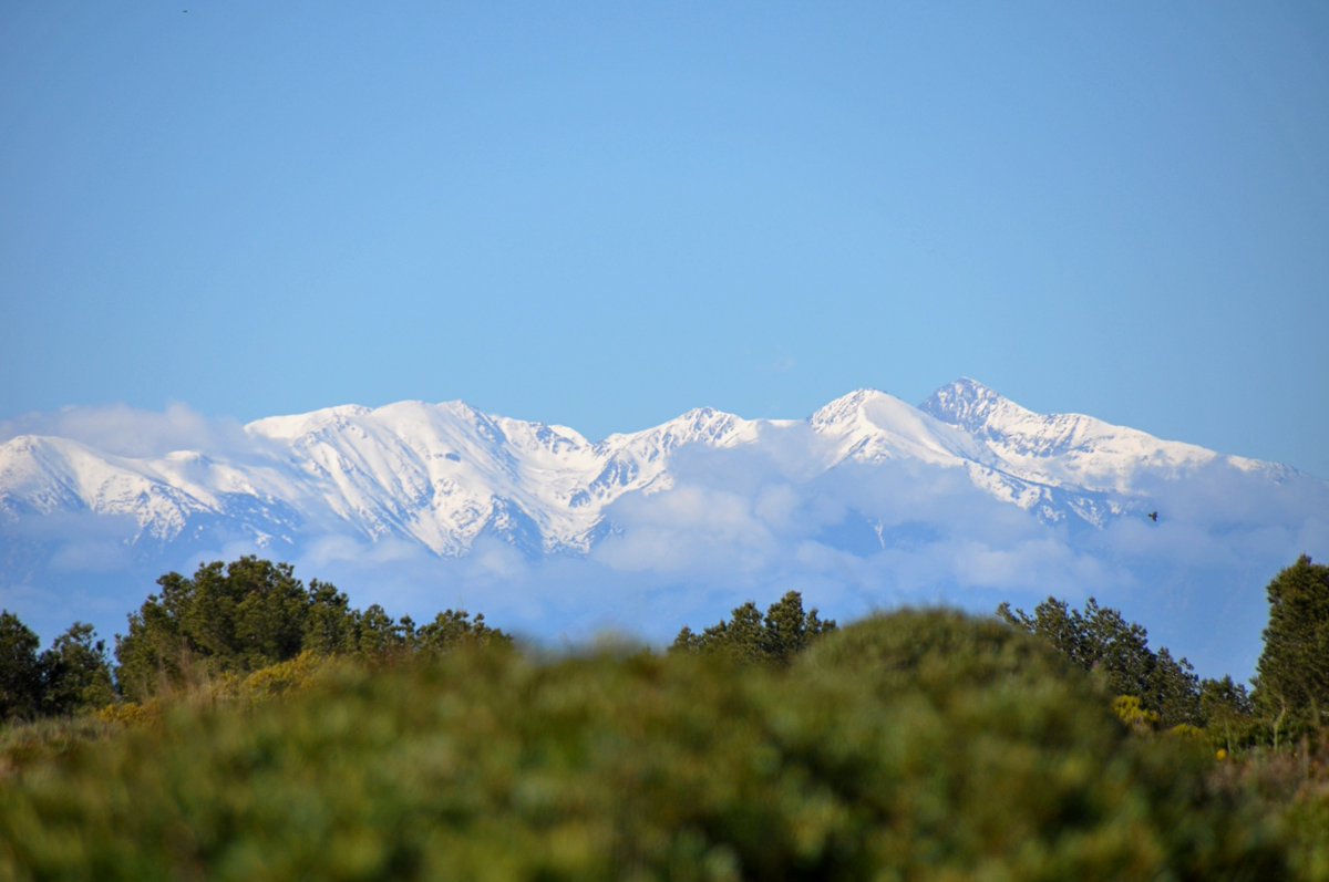 Randonnées Pyrénées tweet media