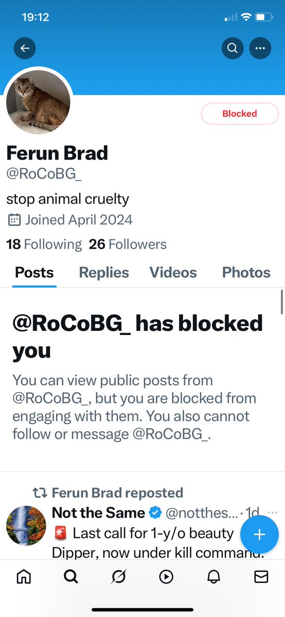 RoCo🇬🇧God Save The King🇬🇧 (@rocogb) on Twitter photo ‼️LOOK!!!!
Impersonator has changed their name but the @ is the same (see photo)
I need everyone to help get rid of this imposter!!!
PLEASE continue to Block & Report <a href="/RoCoBG_/">Ferun Brad</a> ASAP
DON’T LET THEM GET AWAY WITH THIS🤬🤬 ‼️LOOK!!!!
Impersonator has changed their name but the @ is the same (see photo)
I need everyone to help get rid of this imposter!!!
PLEASE continue to Block & Report <a href="/RoCoBG_/">Ferun Brad</a> ASAP
DON’T LET THEM GET AWAY WITH THIS🤬🤬