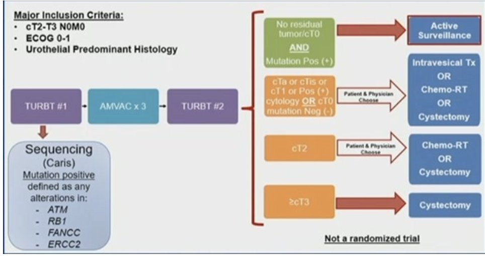 UroToday.com (@urotoday) on Twitter photo Bladder preservation in patients with clinical complete response to neoadjuvant chemotherapy โ Ready for prime time? Presentation by <a href="/siadaneshmand/">Sia Daneshmand, M.D.</a> and <a href="/MattGalsky/">Matt Galsky</a>. #AUA25 written coverage by <a href="/zklaassen_md/">Zach Klaassen</a> > bit.ly/42Yla7b <a href="/AmerUrological/">Amer. Urol. Assn.</a> <a href="/UroDocAsh/">Ashish M. Kamat, MD, MBBS</a> <a href="/KKBree/">Kelly Bree</a> <a href="/bbmdmsk/">Bernie Bochner, MD</a> Bladder preservation in patients with clinical complete response to neoadjuvant chemotherapy โ Ready for prime time? Presentation by <a href="/siadaneshmand/">Sia Daneshmand, M.D.</a> and <a href="/MattGalsky/">Matt Galsky</a>. #AUA25 written coverage by <a href="/zklaassen_md/">Zach Klaassen</a> > bit.ly/42Yla7b <a href="/AmerUrological/">Amer. Urol. Assn.</a> <a href="/UroDocAsh/">Ashish M. Kamat, MD, MBBS</a> <a href="/KKBree/">Kelly Bree</a> <a href="/bbmdmsk/">Bernie Bochner, MD</a>
