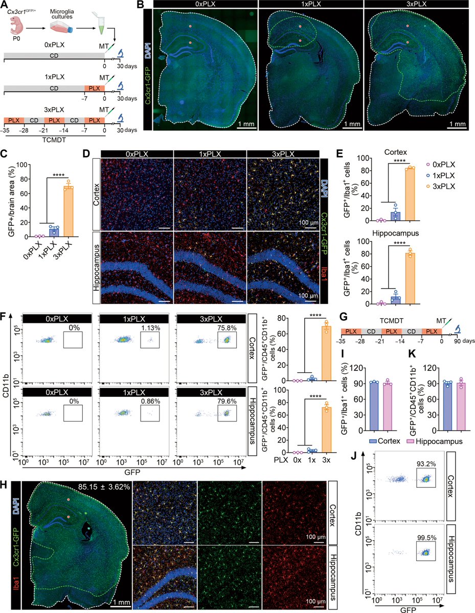 Brain-wide microglia replacement using a  nonconditioning strategy ameliorates pathology in mouse models of  neurological disorders
science.org/doi/10.1126/sc…