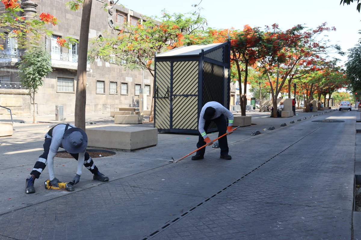 Estamos retirando tornillos y segregadores que se encontraban sueltos en la ciclovía de Paseo Alcalde, esto con la finalidad de que los peatones y ciclistas puedan transitar de manera segura.