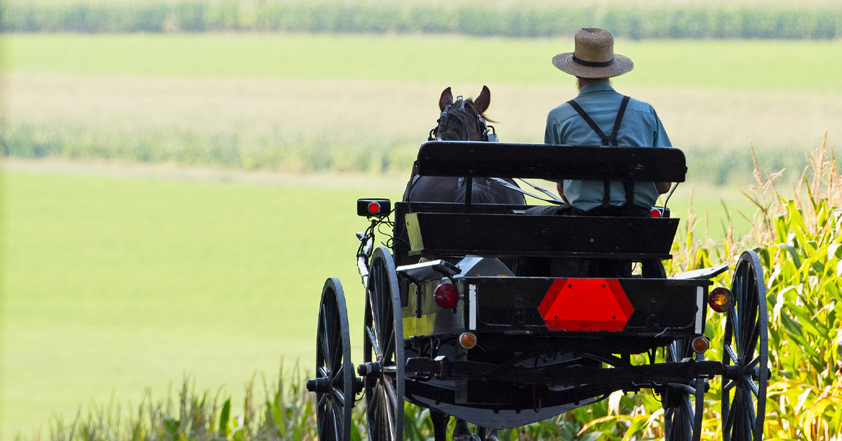 🚨#BREAKING: The Amish have won a lawsuit against the Canadian government for targeting the Amish with $300k in fines for "not using a COVID-19 app" while crossing the US border.

The Amish said they don't use phones.

So the Canadian government then put LIENS ON THEIR FARMS!!!