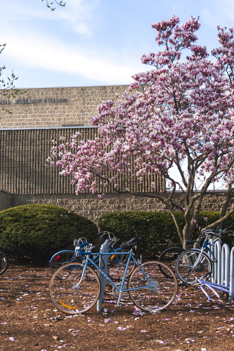 Saying hello to spring on the Evanston campus! 🪻💜 

📸 Jonah Elkowitz