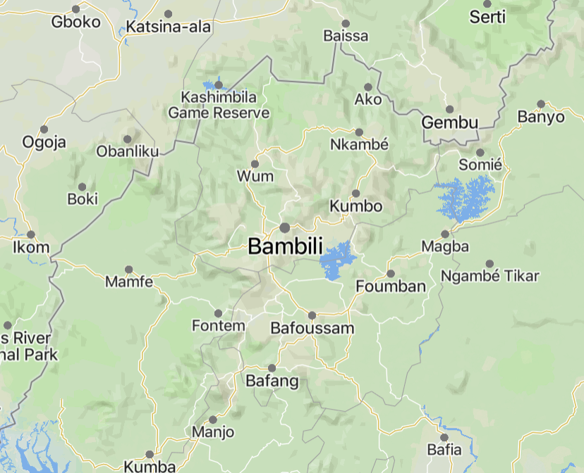 TracTerrorism's tweet photo. Suspected #Ambazonia Militants Assassinated a Businessman and Teacher, Yufemo Anslem, in #Bambili, North-West Region, #Cameroon
Read more: https://t.co/P6cmwEELyw https://t.co/uaSNDKr79C