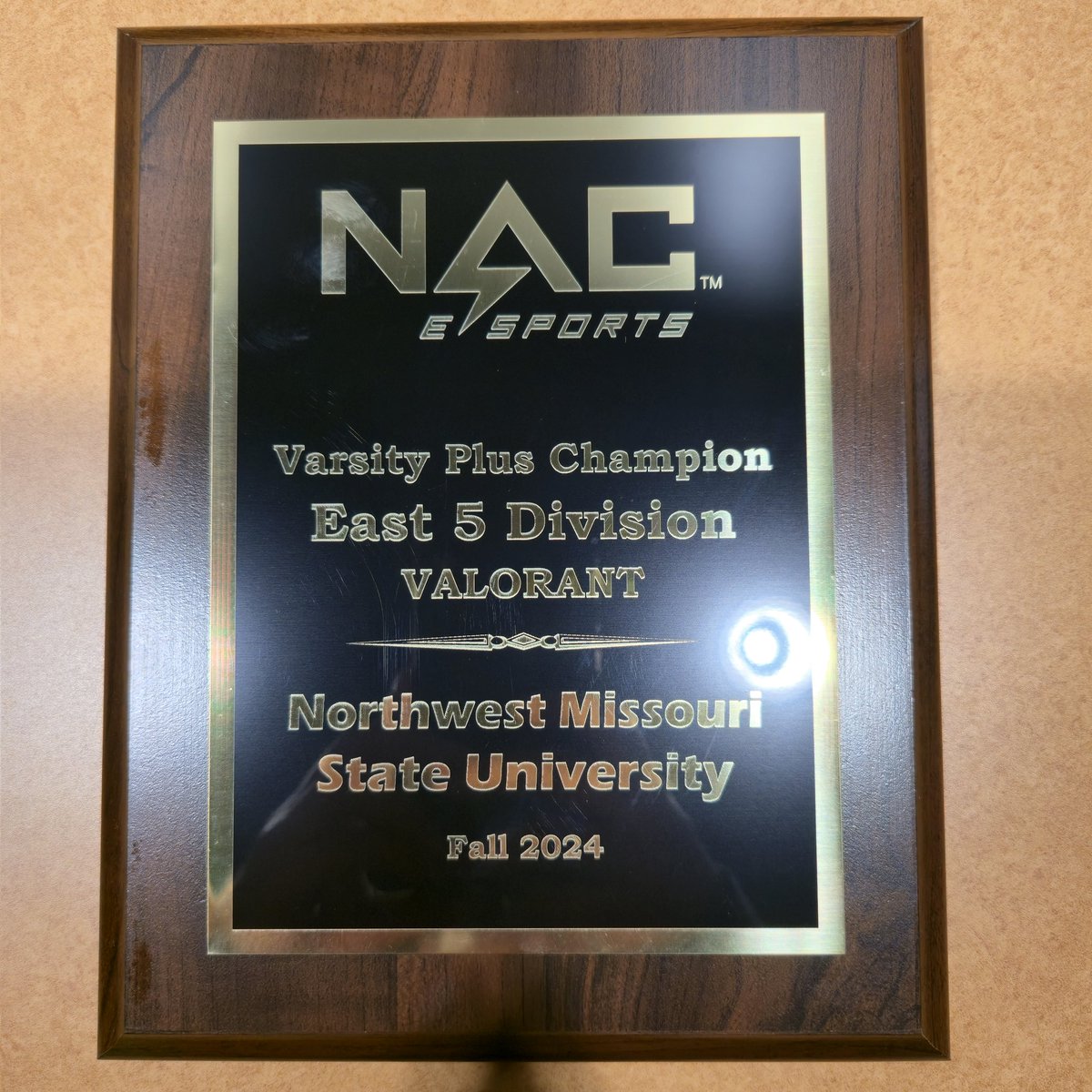 Northwest Bearcat Esports tweet media