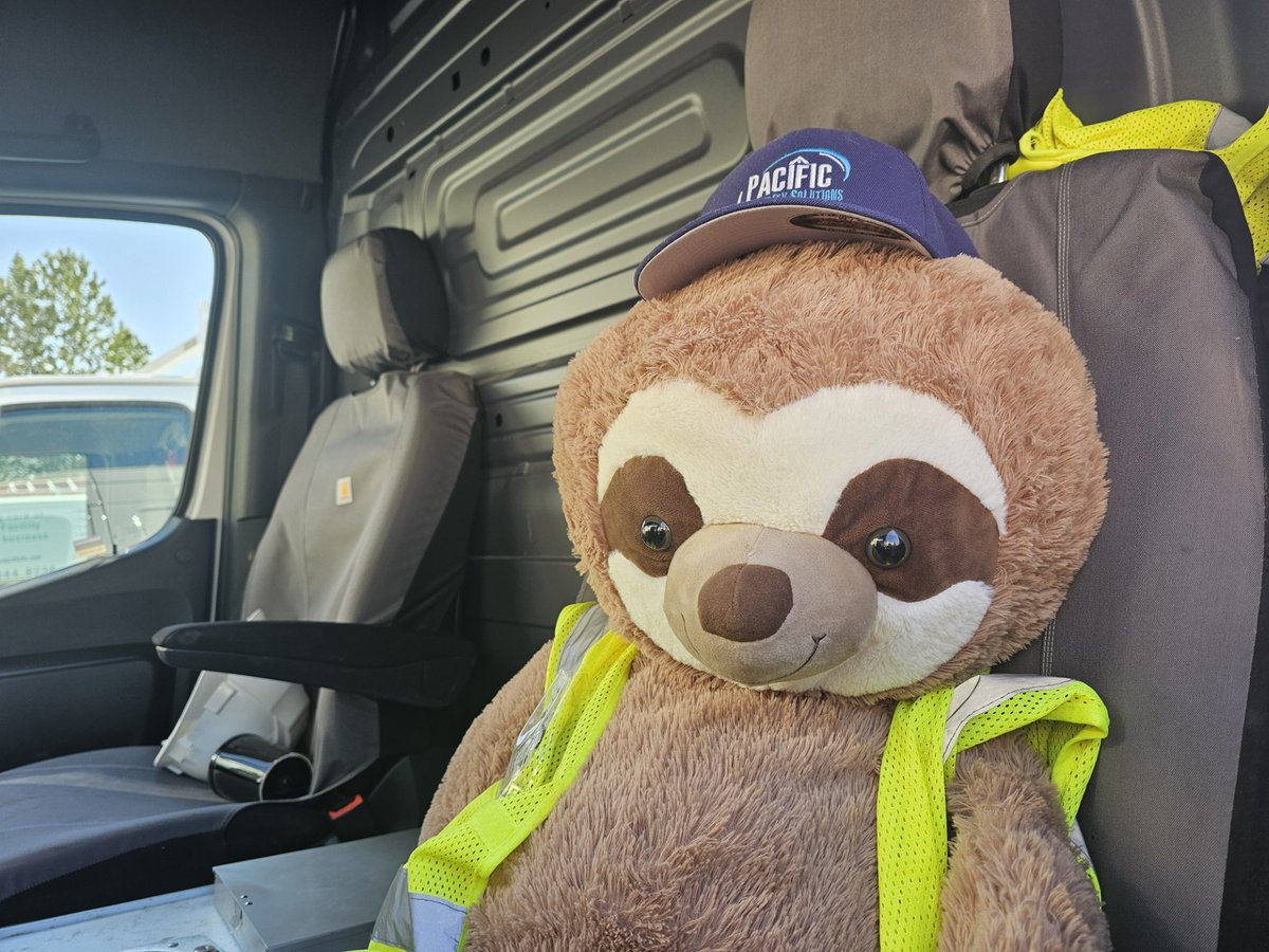 PacFacility's tweet photo. We'd like to welcome our newest team member, Pally the PFS Sloth, to the crew!

Pally will help us illustrate proper workplace safety and other great facility maintenance tips in the coming weeks... starting with wearing your seatbelt! @405daily 

#slothingham #bellinghamsloth https://t.co/s1gT83MqDN