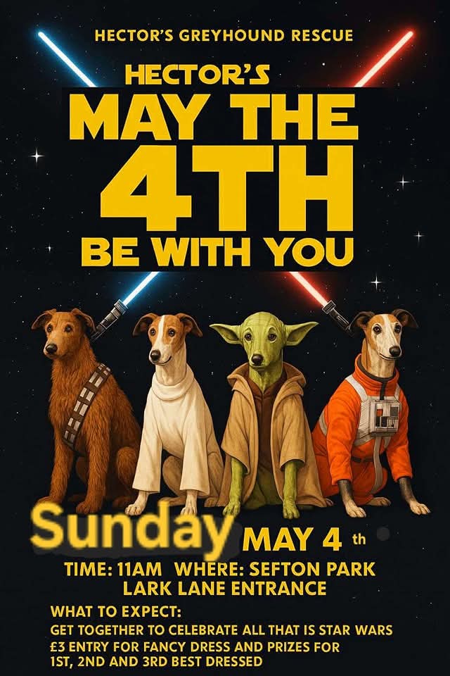 May 4th be with you #Liverpool 
👇👇👇🖤🖤🖤🐾🐾🐾👇👇👇