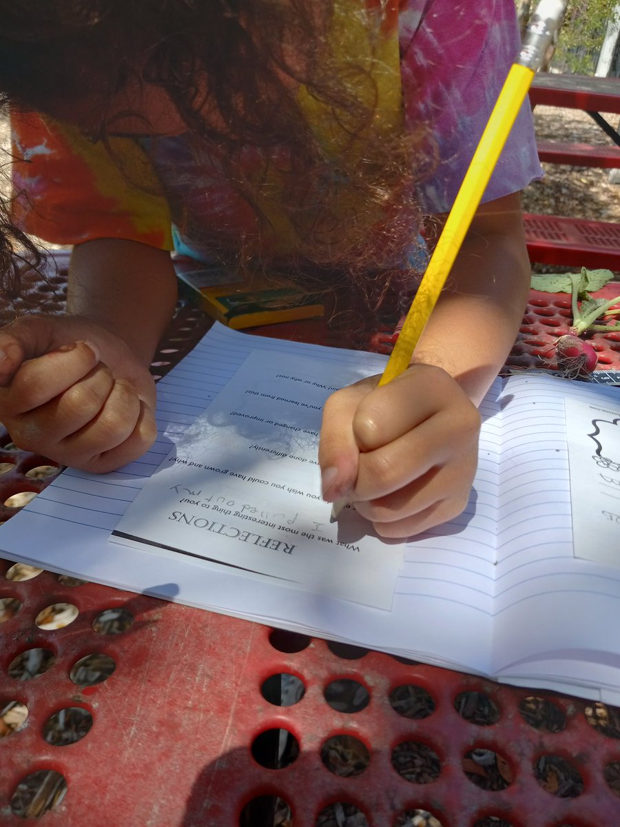 Mrs. C. (@kinderteach571) on Twitter photo Wednesday <a href="/HCPSGraham/">Graham Elementary</a> ... AGP Students finishing up Garden observations & reflections...s ๐ the radishes but ๐ no ๐...what can we change or do differently ๐ค? <a href="/WeAreHAEST/">HAEST</a> <a href="/HCPSElemScience/">HCPSElemScience</a> <a href="/Gifted_HCPS/">GiftedHCPS</a> <a href="/HCPSTNRegion2/">HCPS TN Region 2</a> <a href="/sharonwaite/">Sharon Waite</a> <a href="/KagelHothem/">Stacie Kagel-Hothem</a> Wednesday <a href="/HCPSGraham/">Graham Elementary</a> ... AGP Students finishing up Garden observations & reflections...s ๐ the radishes but ๐ no ๐...what can we change or do differently ๐ค? <a href="/WeAreHAEST/">HAEST</a> <a href="/HCPSElemScience/">HCPSElemScience</a> <a href="/Gifted_HCPS/">GiftedHCPS</a> <a href="/HCPSTNRegion2/">HCPS TN Region 2</a> <a href="/sharonwaite/">Sharon Waite</a> <a href="/KagelHothem/">Stacie Kagel-Hothem</a>