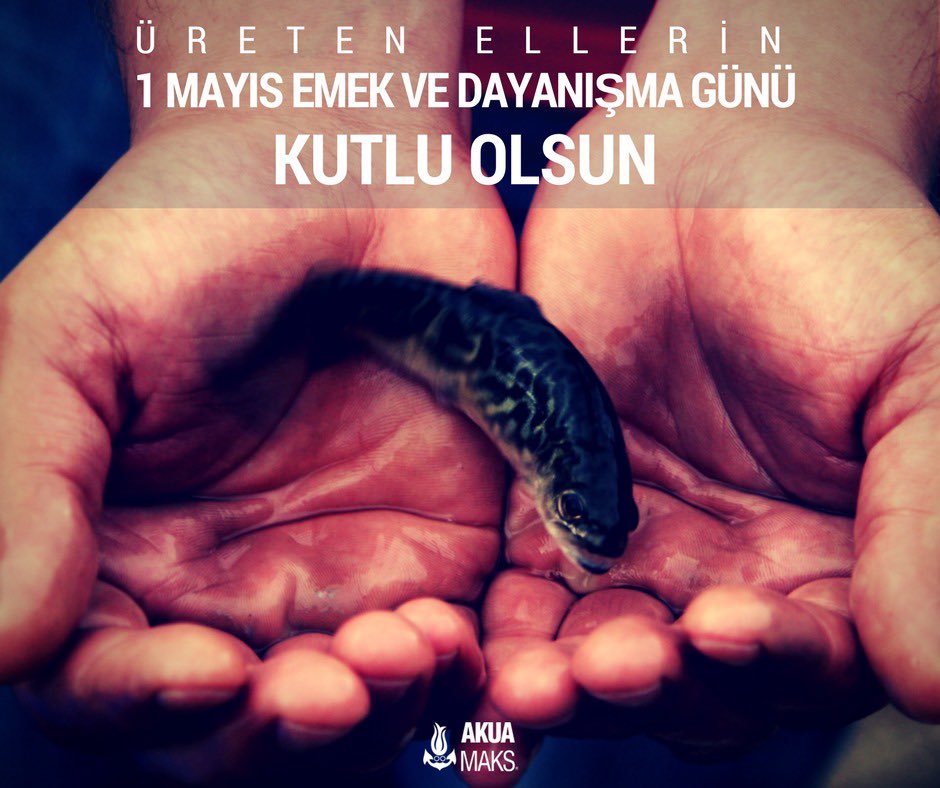Üreten Ellerin 1 Mayıs Emek ve Dayanışma Günü Kutlu Olsun .... 1st May , Happy International Workers' Day !