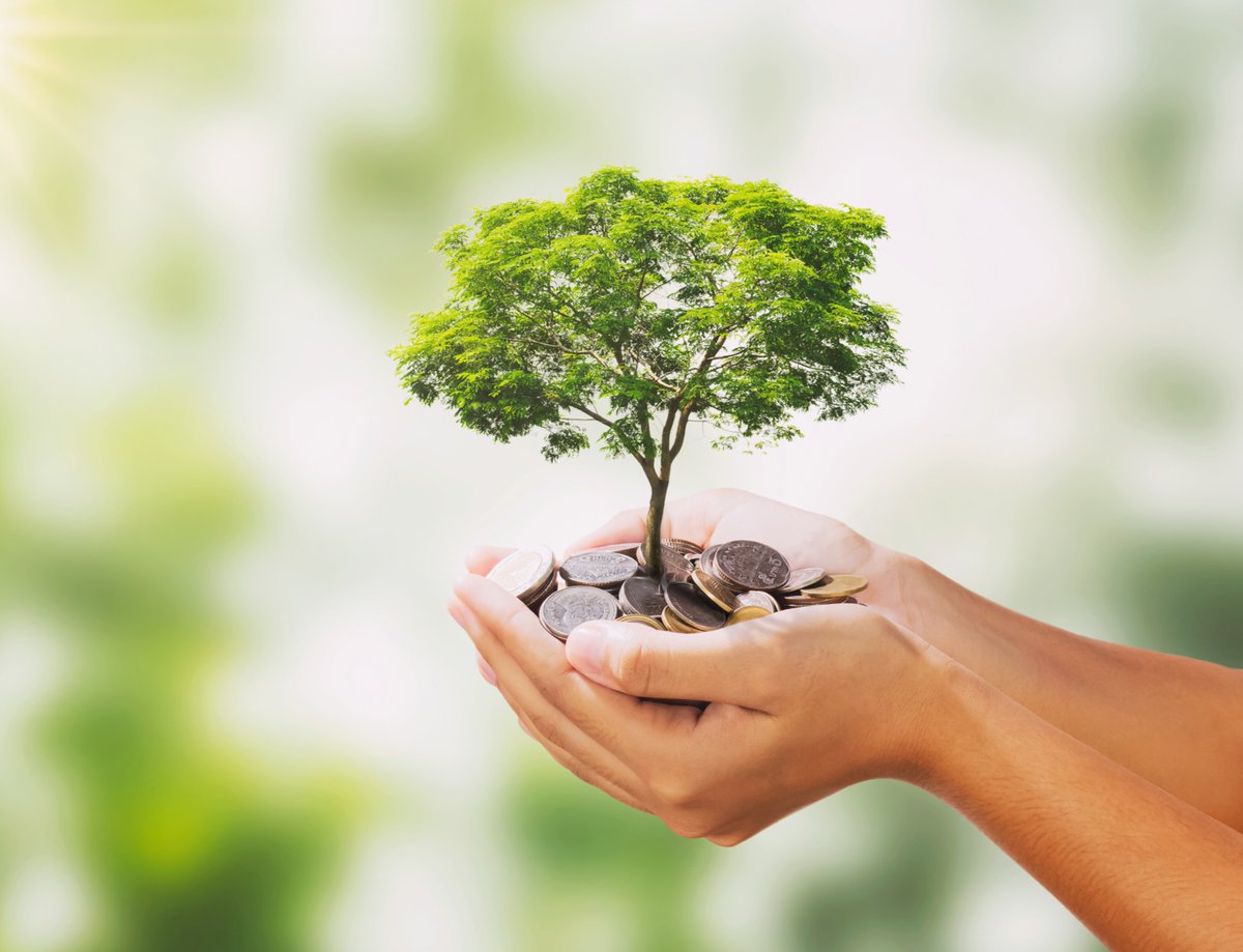 Thank you to everyone who participated in the VA Department of Forestry's Throwing Shade program! 🌿
We exceeded the number of available discounts before the deadline and can’t offer any more.
We truly have the best customers. Thank you for making it such a success! 💚