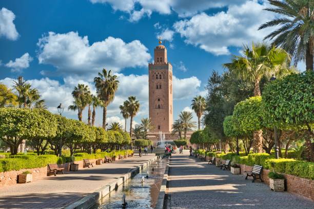 morocco___tours's tweet photo. Travel to Morocco 
Visit Morocco , highlights of the country , #desert #morocco #gotomorocco #Travel https://t.co/zW77PImsPg