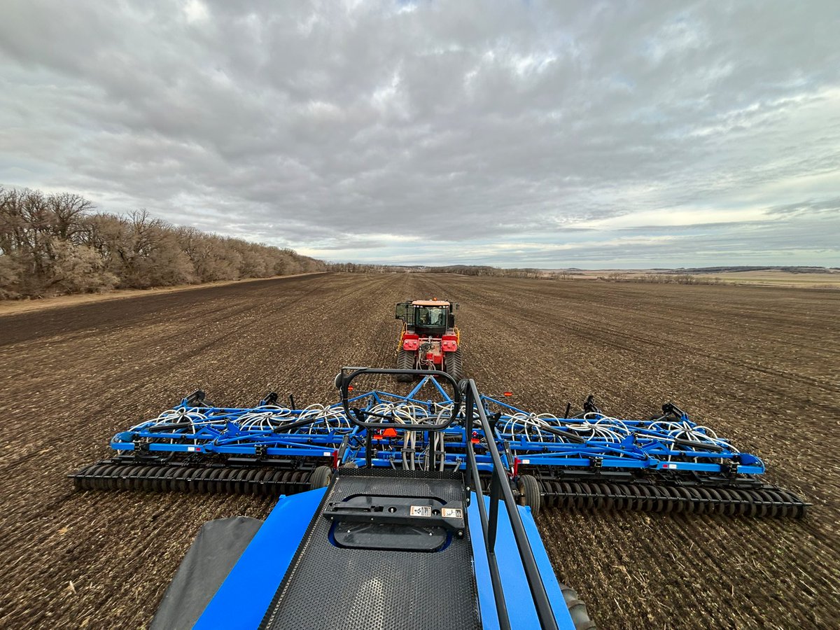 Beautiful conditions for #plant25 to get underway.
