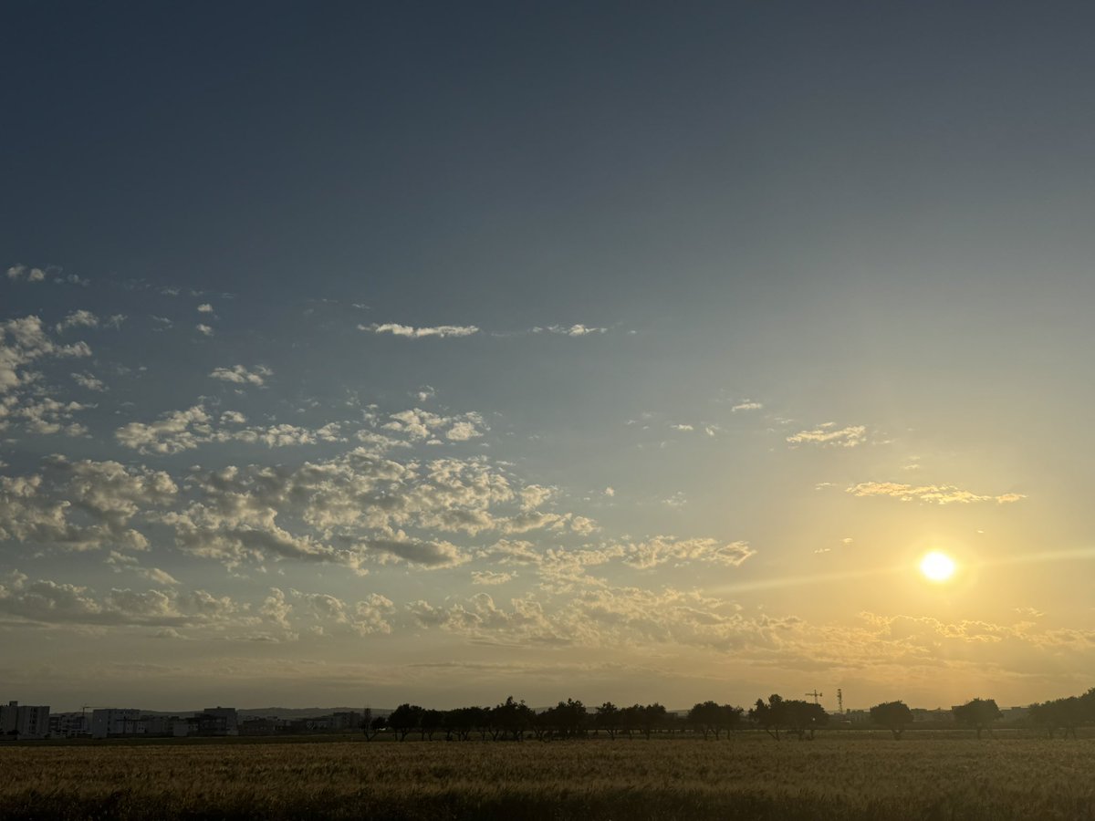 Rihab Nasri tweet media