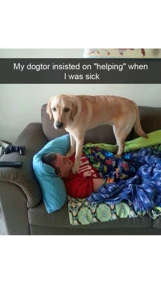 He's the best dogtor around! You're in good hands (paws)