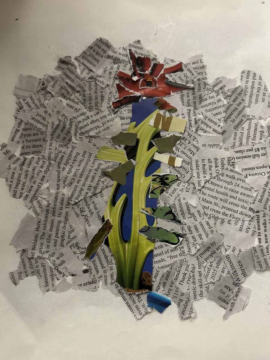 More recycled magazine and newspaper collage creations. Looking forward to sharing our work during Education Week! #OcsbArts <a href="/OttCatholicSB/">Ottawa Catholic School Board</a> <a href="/CorpusOCSB/">Corpus Christi School</a> <a href="/ParentsCorpus/">Corpus Parents</a> <a href="/KMcCarthyOCSB/">Kelly McCarthy (she/her)</a>