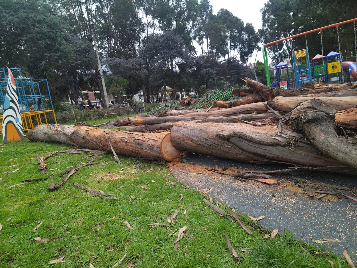 Barrio Granda Centeno tweet media