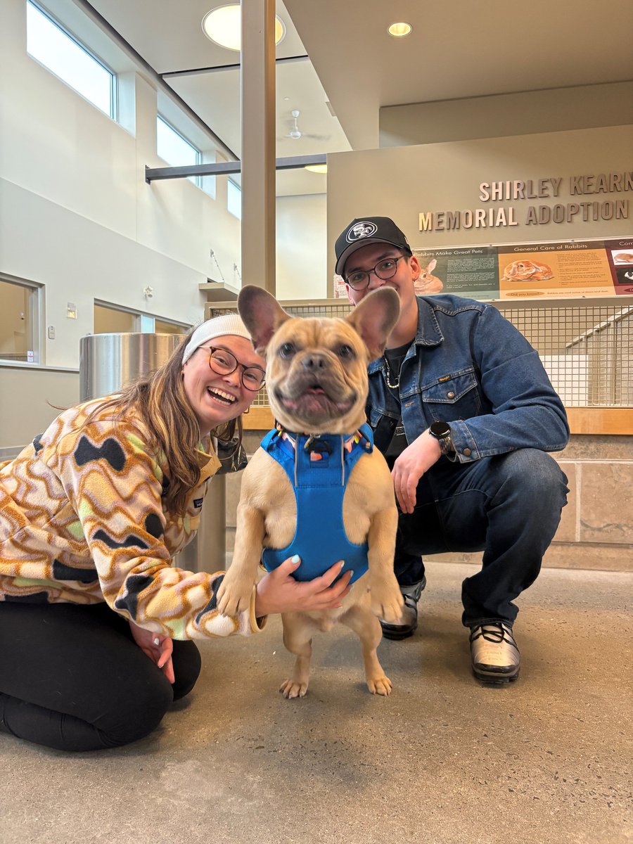 Kevin was ready to fly into his forever home! Let’s all give a big congratulations to Kevin and thanks to his new family for adopting him.