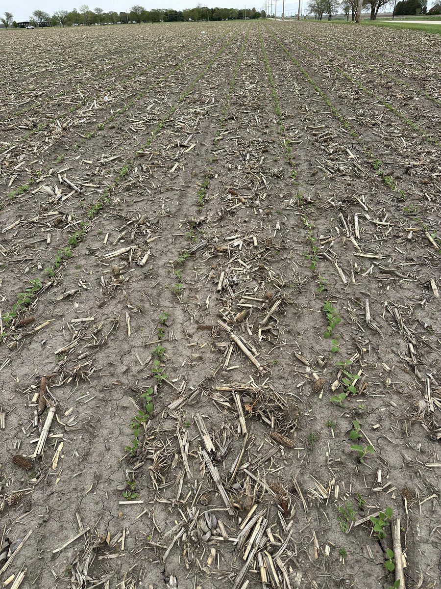 Kris Ehler tweet media