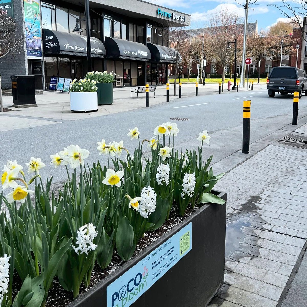 BIABC (@businessareasbc) on Twitter photo Signs of Spring ๐ธ๐ท๐
๐ @adbiawv
๐ @district1881
๐ <a href="/iyaletown/">Yaletown BIA</a>
๐ <a href="/downtownpoco/">Port Coquitlam BIA</a> Signs of Spring ๐ธ๐ท๐
๐ @adbiawv
๐ @district1881
๐ <a href="/iyaletown/">Yaletown BIA</a>
๐ <a href="/downtownpoco/">Port Coquitlam BIA</a>