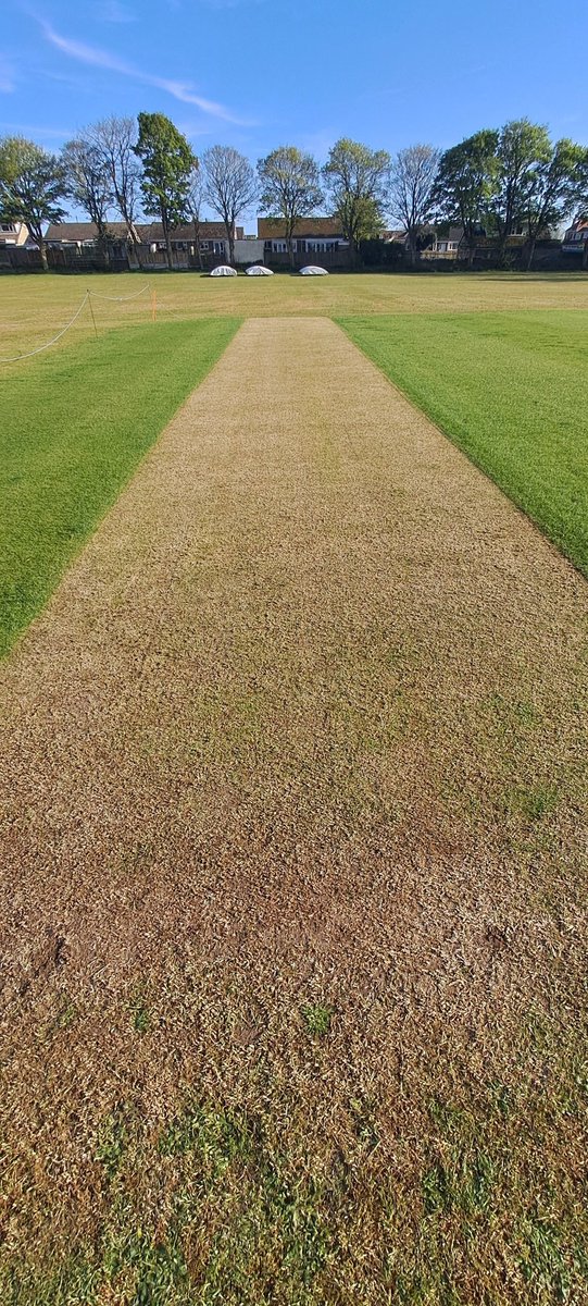 Flamborough Cricket Club tweet media