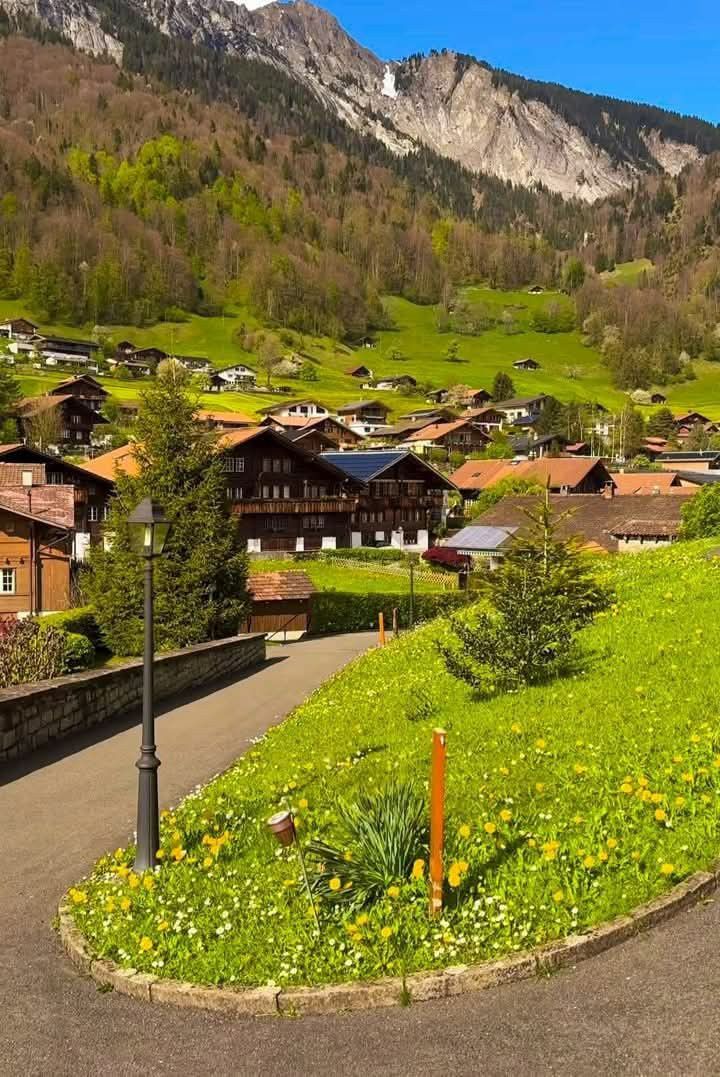 Switzerland 🇨🇭