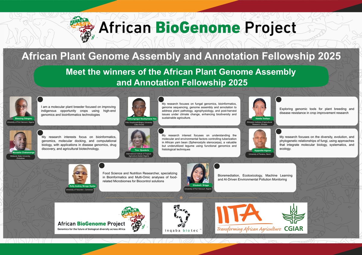 Meet the Fellows.