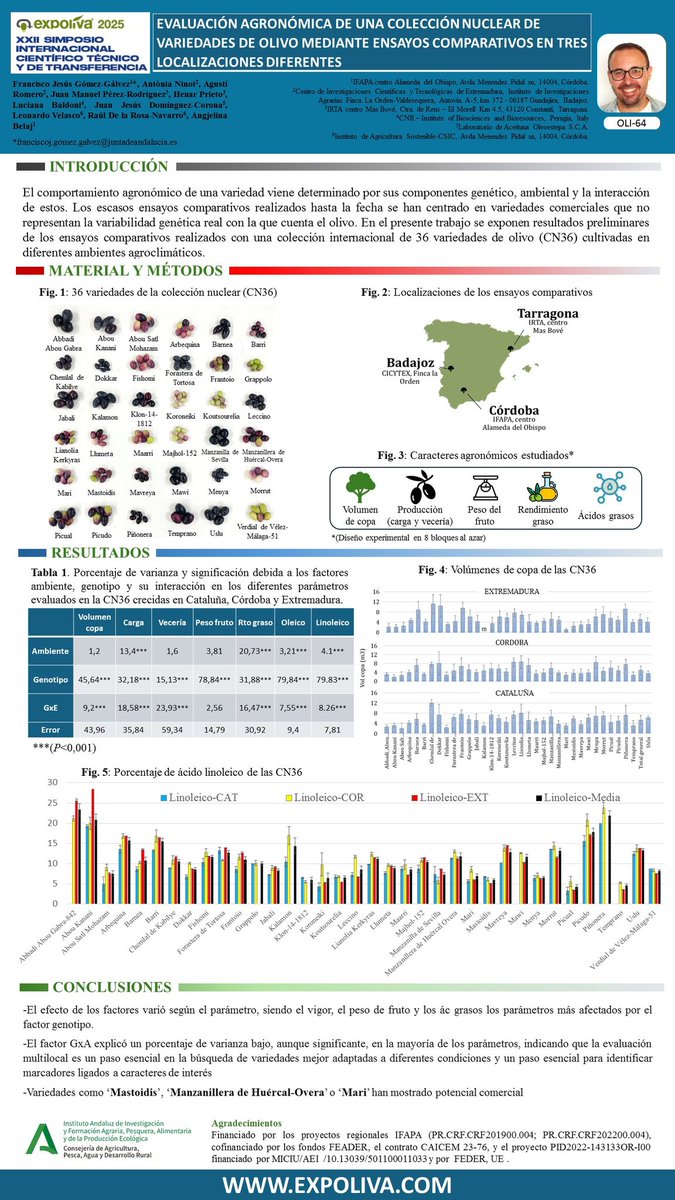 Fco Jesús Gómez tweet media