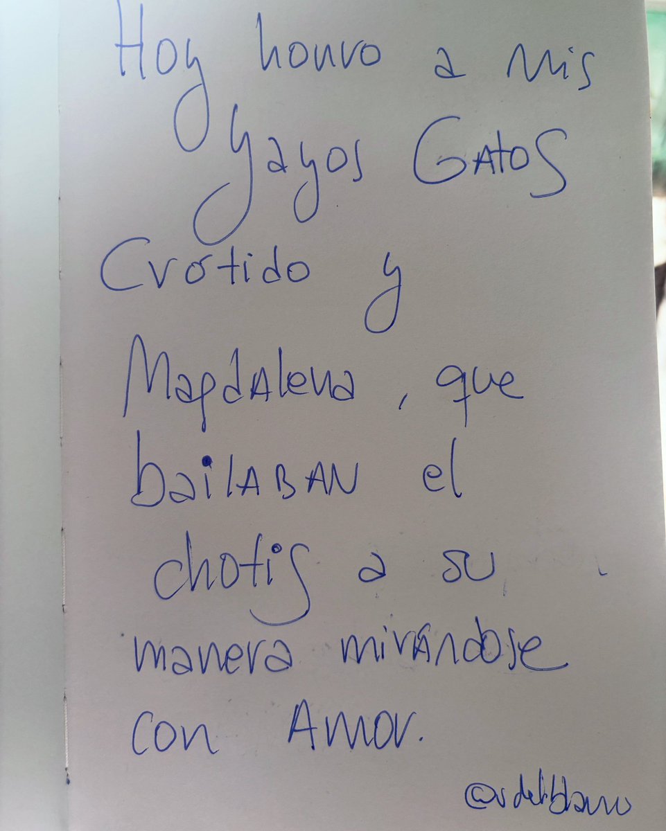 Los chulapos son aquellos que bailan en su metro cuadrado mirándose a los ojos sin buscar el aplauso y dejando una estela que ilumina.

Feliz San Isidro, no os olvidéis de miraros a los ojos y apretaros fuerte mientras estéis aquí.

#mivoz #xteratura