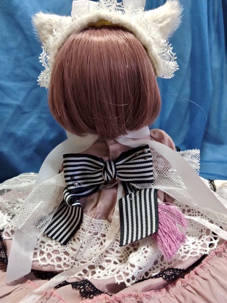 5XCpataFe278325's tweet image. Atelier May 様(@_Atelier_may_)の幼っ子ドレスお迎え！
猫耳は里の委託様のもの！
私の技術じゃ伝わらないけどめちゃくちゃ可愛い！
ピンクがくすみカラーでレースも柔らかい白でクセントの黒が最高✨️
ヘッドリボンはウィッグの関係で背中に✨️ 
素敵なお洋服ありがとうございます✨️✨️✨️