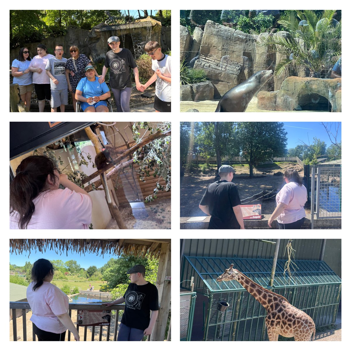 Blackpool day 2……… It’s zoo time and a yummy carvery for dinner 😀
