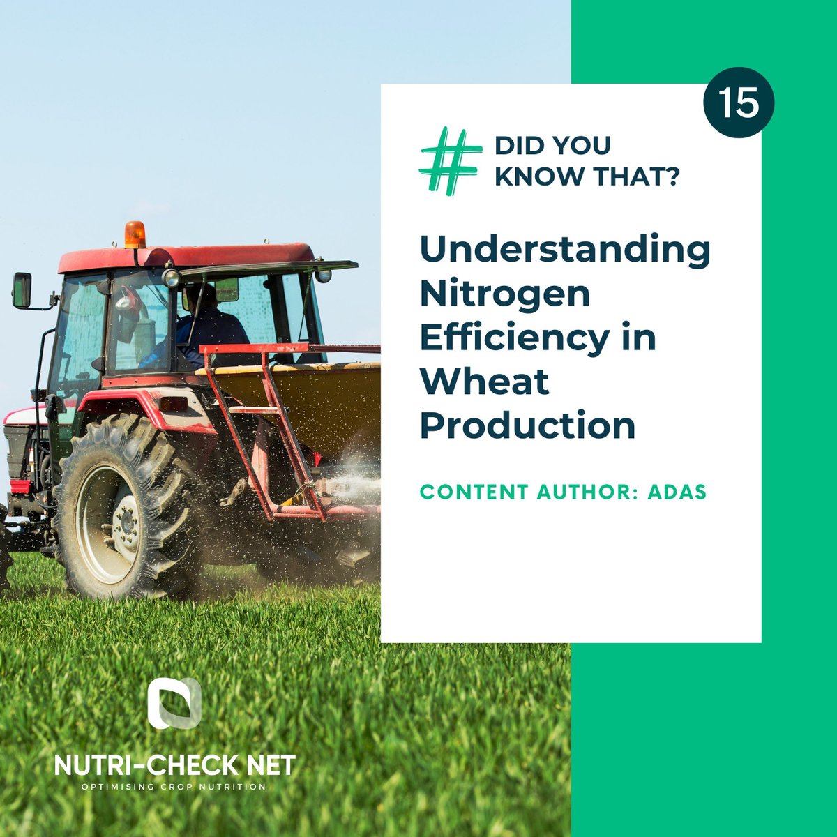 ➡️ In this episode of #DidYouKnowThat, we discuss optimizing nitrogen efficiency in wheat production!

👀 Check more about it here: buff.ly/3Ytxj33