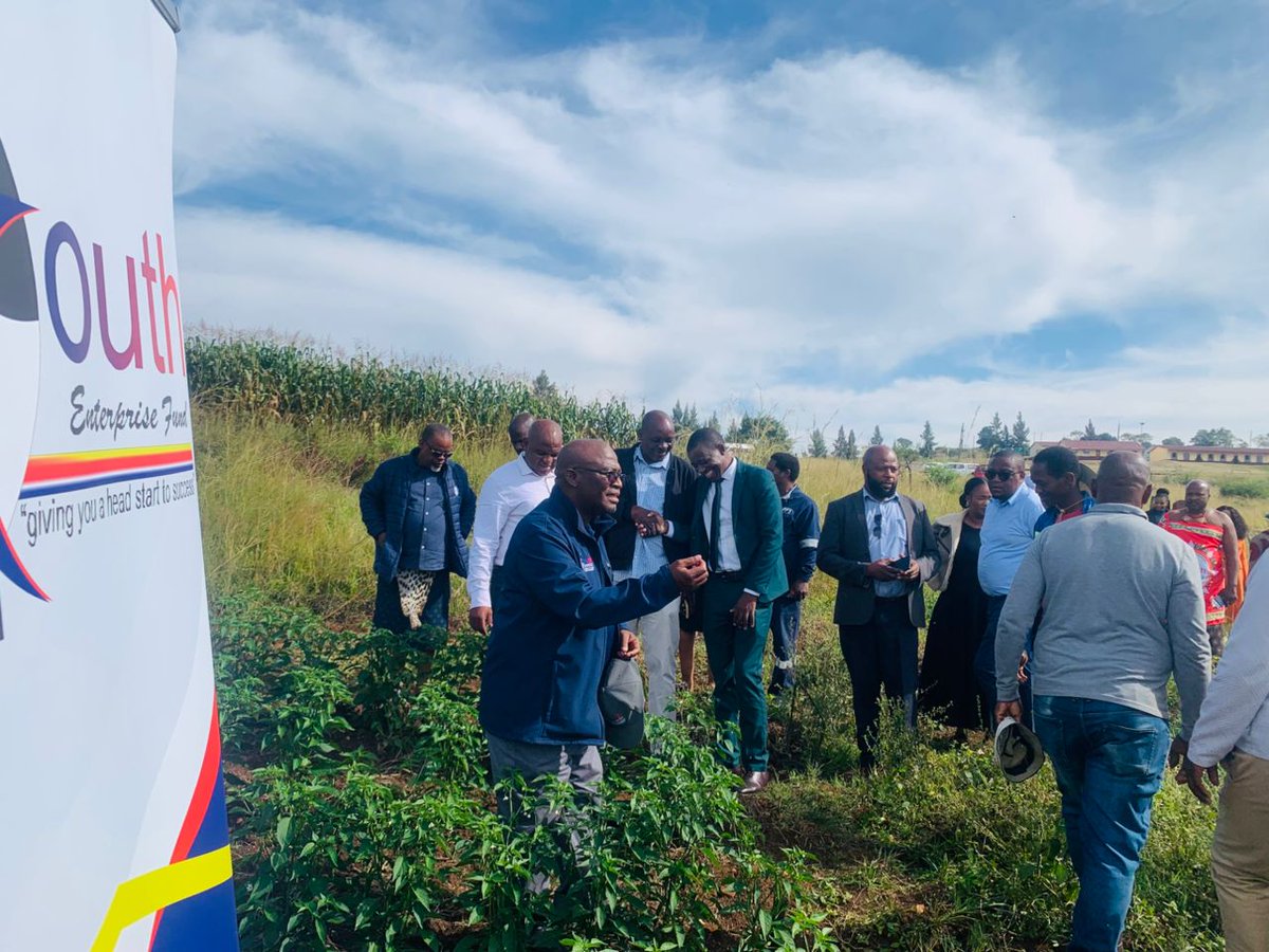 Ongoing]  Witnessing the impact of YERF funding🌽🫑🧅

The Ministry of Sports, Culture,&amp; Youth Affairs and Portfolio Committees (PAC and the Ministry's) embarked on a tour of YERF supported businesses. The initial stop was in Gebeni to see the agribusiness of Njabulo Dlamini. 🇸🇿