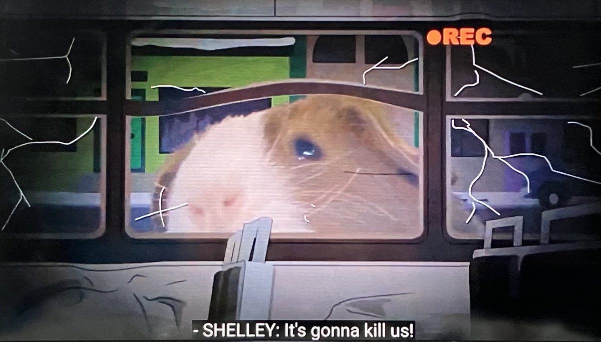 せん📷モル飼いカメラマン tweet media