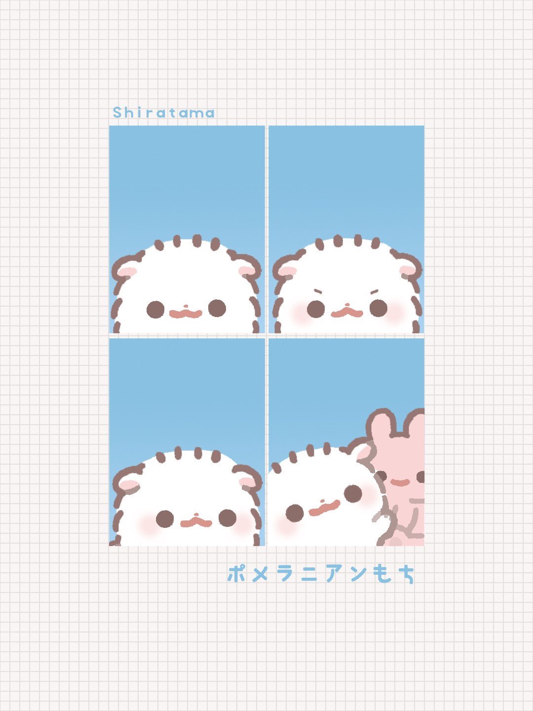 ポメラニアンもち しらたま 個展 サイン 原画 ポメラニアンもち on X: 