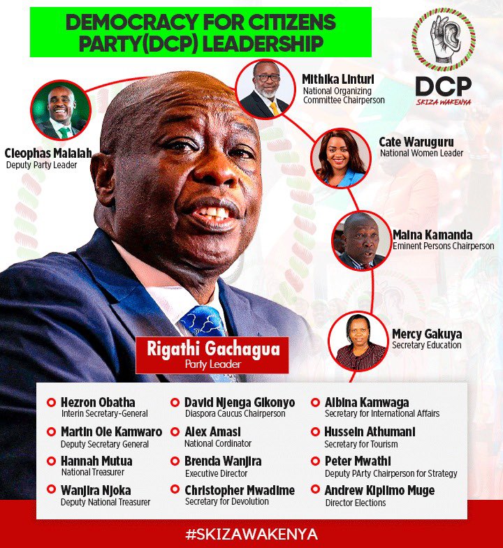 DCP Party Interim Party Officials.