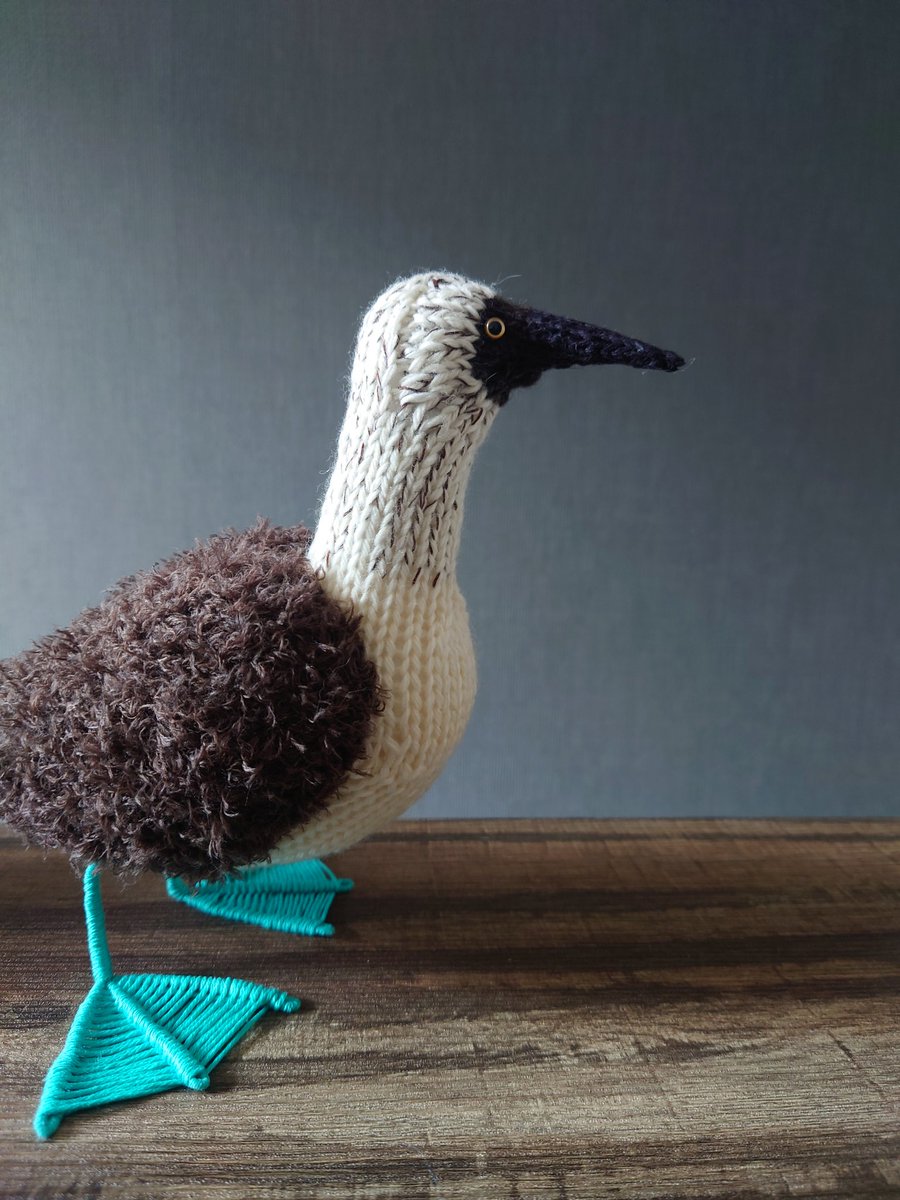 soruni_h's tweet image. アオアシカツオドリです
水掻きのぶぶん、だいぶ悩みました
#amigurumi
#あみぐるみ
#ぼうぐるみ
#棒針編み
#棒針編みのあみぐるみ