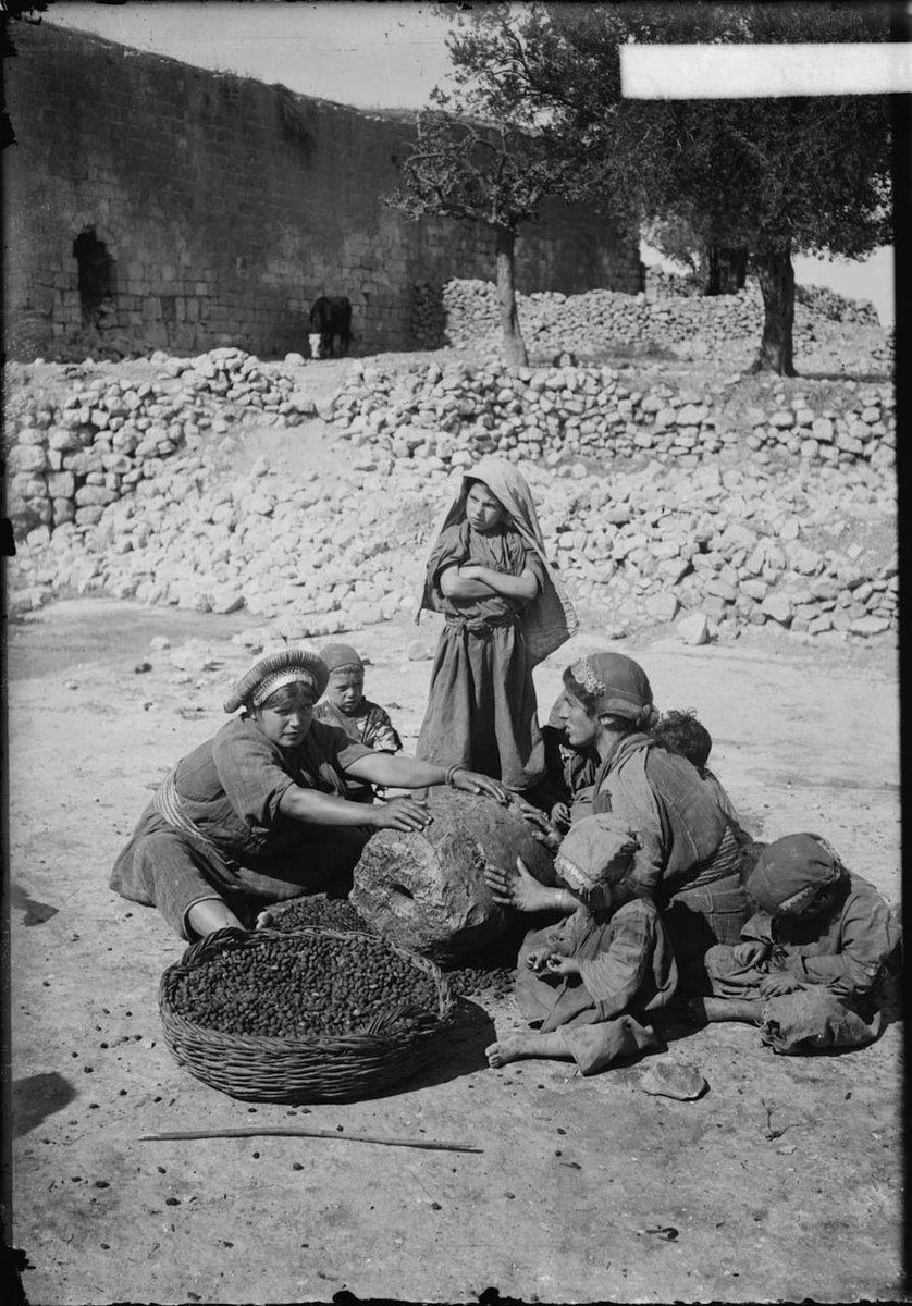 Here are 100 archived images of life in Palestine before the 1948 Nakba.

📷 Browse through Palestine as it was: aje.io/7tepix