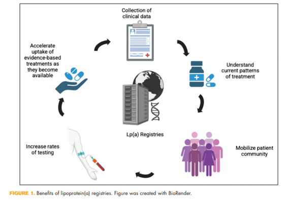 Sociedad SEEN (@sociedadseen) on Twitter photo 🗣️The need for national and international registries of patients with elevated lipoprotein(a)
▶️▶️La Lp(a) elevada es un factor de riesgo común, pero subdiagnosticado, de ECVA
journals.lww.com/co-lipidology/…
<a href="/LipidoSeen/">LipidoSEEN</a> 🗣️The need for national and international registries of patients with elevated lipoprotein(a)
▶️▶️La Lp(a) elevada es un factor de riesgo común, pero subdiagnosticado, de ECVA
journals.lww.com/co-lipidology/…
<a href="/LipidoSeen/">LipidoSEEN</a>