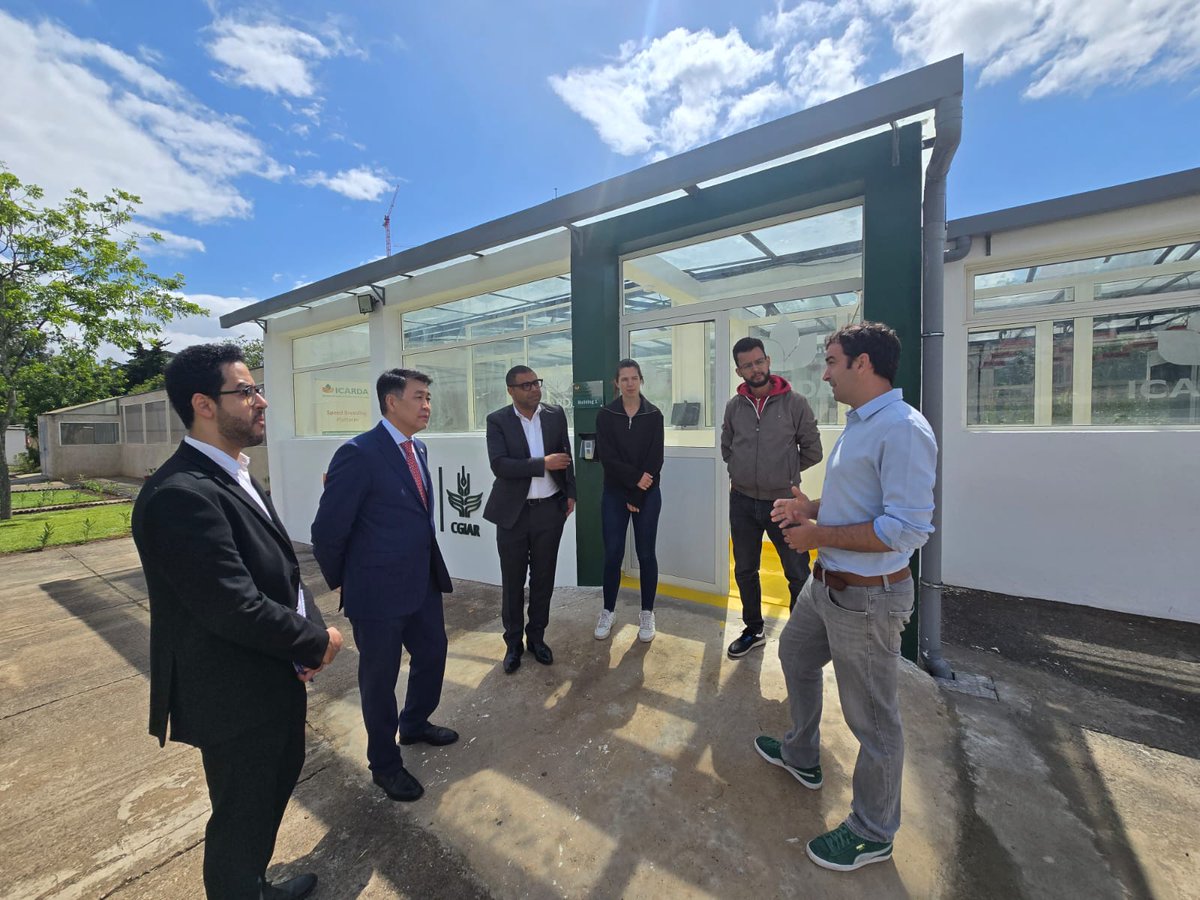 IOFS, led by H.E.D.G. Amb. <a href="/BerikAryn/">Berik Aryn</a>, has established key research partnerships in #Morocco to strengthen food systems across the OIC. Meetings with the Ministry of Agriculture, <a href="/ICARDA/">ICARDA</a> &amp; INRA focused on climate-resilient crops, innovation &amp; sustainable agriculture.