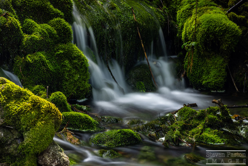 StevenPaston's tweet image. 1st time trip to Littlebredy Lake &amp;amp; Waterfall in Dorset but it due to close it's permissive access on the 2nd of June. If you want to discover it now @StormHour @ThePhotoHour @CanonUKandIE @LEEFilters #3LeggedThing