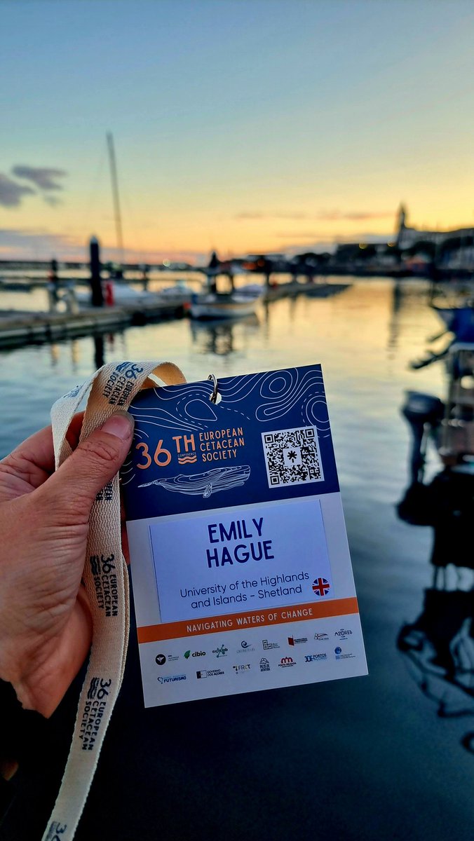 Emily Hague π’π³π¬ (@emilyhague) on Twitter photo π³ππ Today I'm giving a talk on some of my work at the European Cetacean Society, in the Azores π₯°πΊπ Over 700 people are here to discuss all things marine mammals, it's so brilliant to be amongst so many incredible people, and hear talks from lifelong heroes of mine π πππ³ π³ππ Today I'm giving a talk on some of my work at the European Cetacean Society, in the Azores π₯°πΊπ Over 700 people are here to discuss all things marine mammals, it's so brilliant to be amongst so many incredible people, and hear talks from lifelong heroes of mine π πππ³