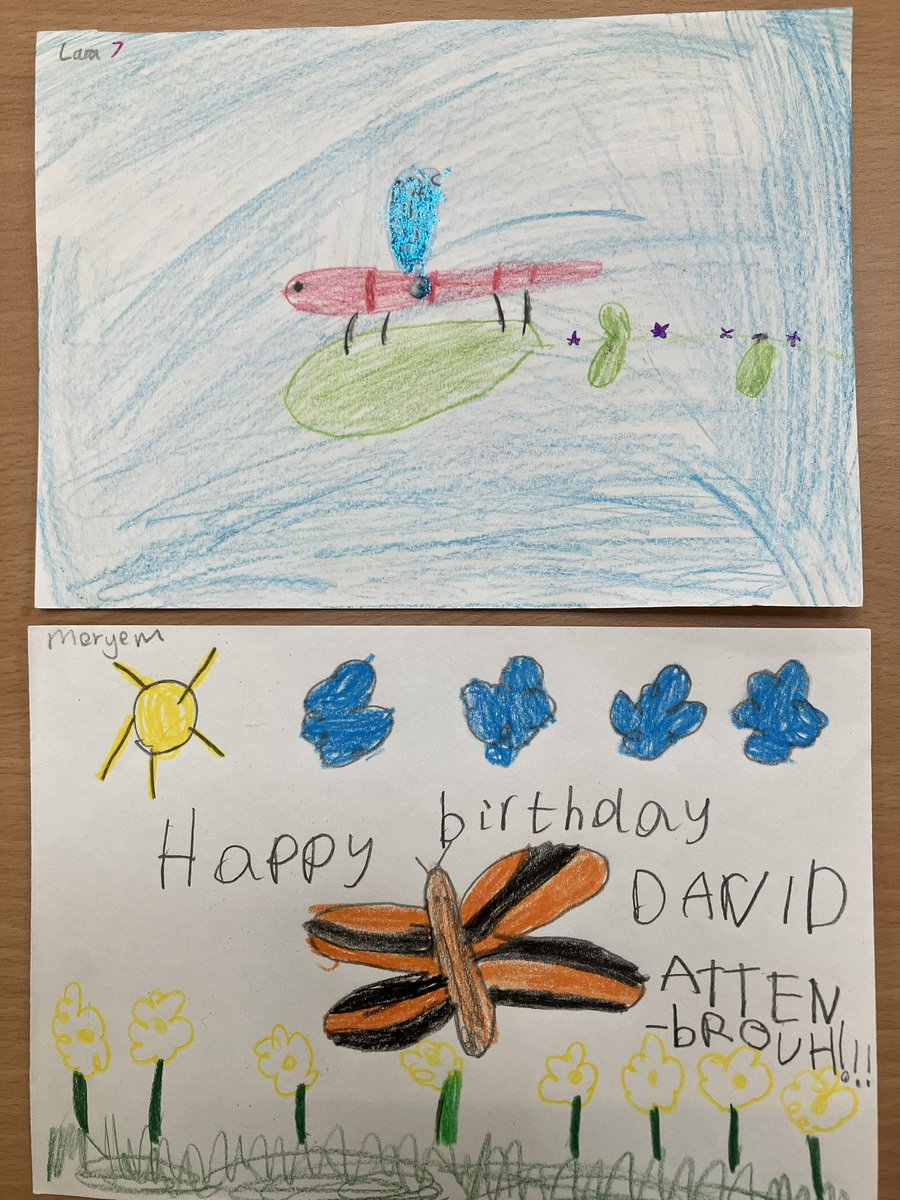 Just imagine our patron, Sir David Attenborough’s delight receiving these gorgeous pictures from the wonderful Year 2 students at @fern_hill_school ! We are sure his 99th birthday was made even brighter by their thoughtful artwork. We always look forward to #sirdavidattenborough