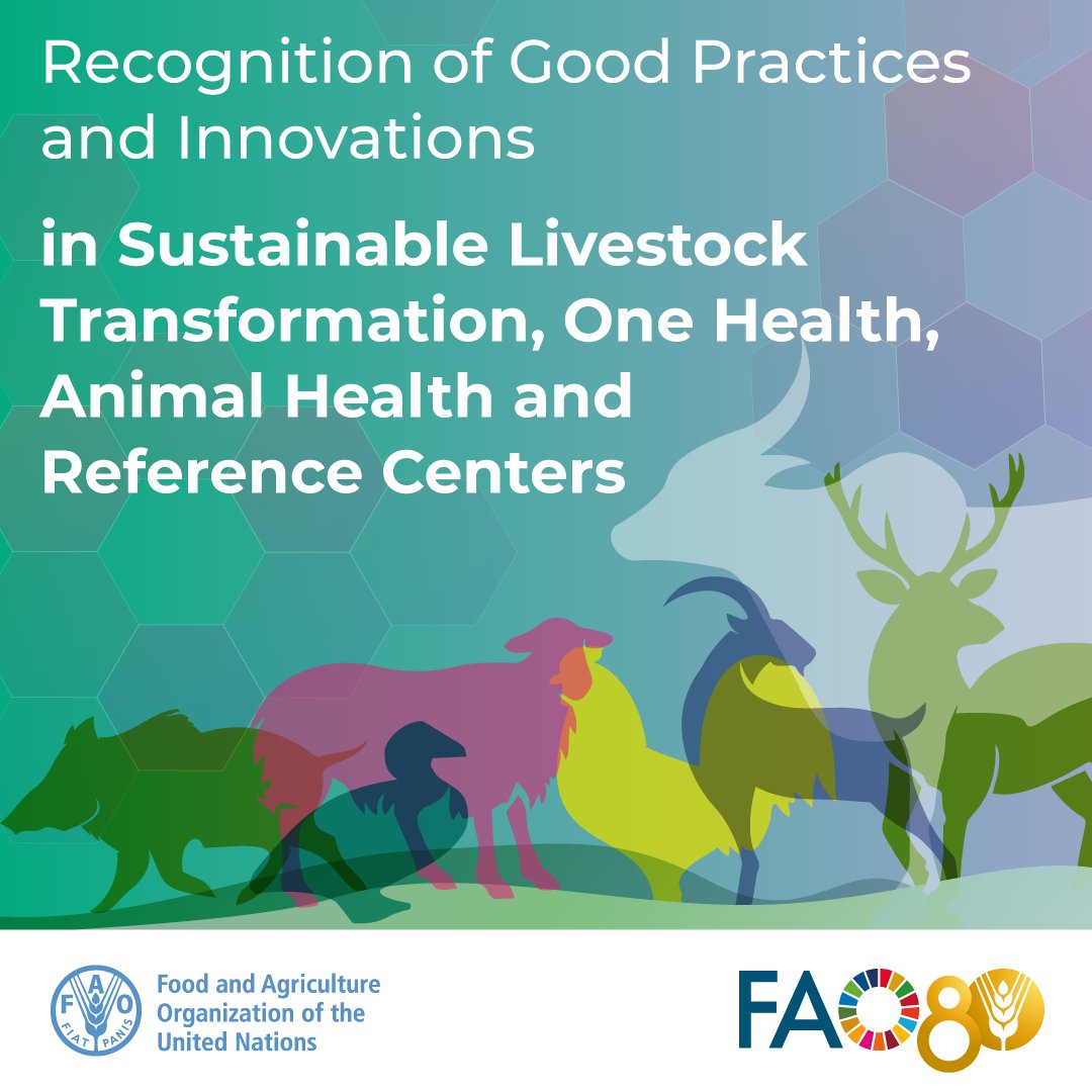 FAO Livestock (@faolivestock) on Twitter photo Does your work contribute to healthier animals, increased productivity, and enhanced #FoodSecurity?
FAO’s new recognition for good practices and innovations is acknowledging solutions in livestock systems.
Apply now ➡️ bit.ly/3GspZOH
#OneHealth #SustainableLivestock Does your work contribute to healthier animals, increased productivity, and enhanced #FoodSecurity?
FAO’s new recognition for good practices and innovations is acknowledging solutions in livestock systems.
Apply now ➡️ bit.ly/3GspZOH
#OneHealth #SustainableLivestock