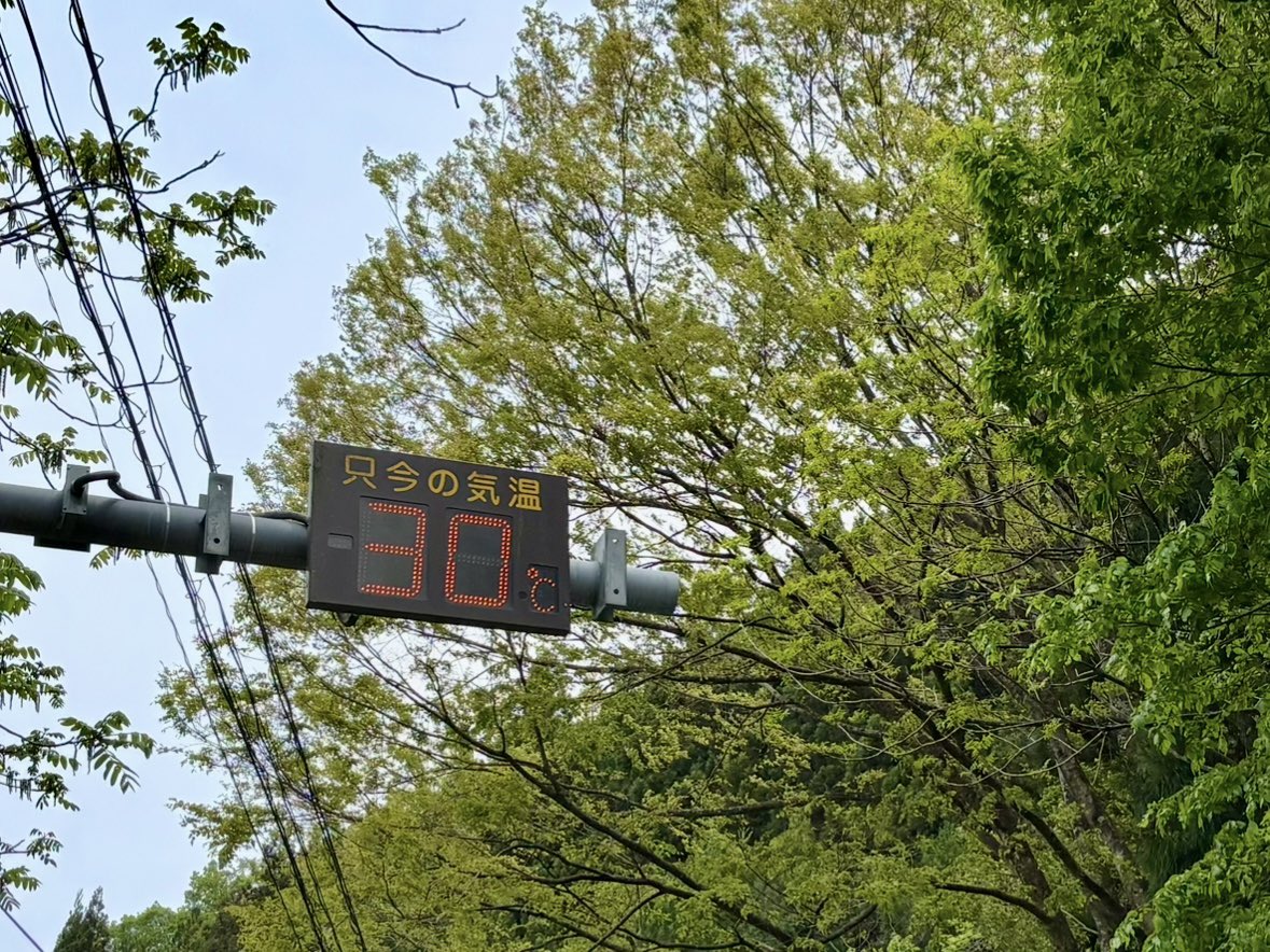 tencho_last1997's tweet photo. 午前中だけ時間が取れたので片道2時間半の山菜ポイントへ🌱
合間に少しだけヤマメ釣り🎣
#lurefishing
#exts44ul
#exts46ul
#exts464ul
#exts503ul
#exts48xl
#exts52xl
#山女魚
#岩魚
#山女魚ネット
#awayco
#awayco40s
#山菜採り
#行者ニンニク https://t.co/KqZXlH6Xkx