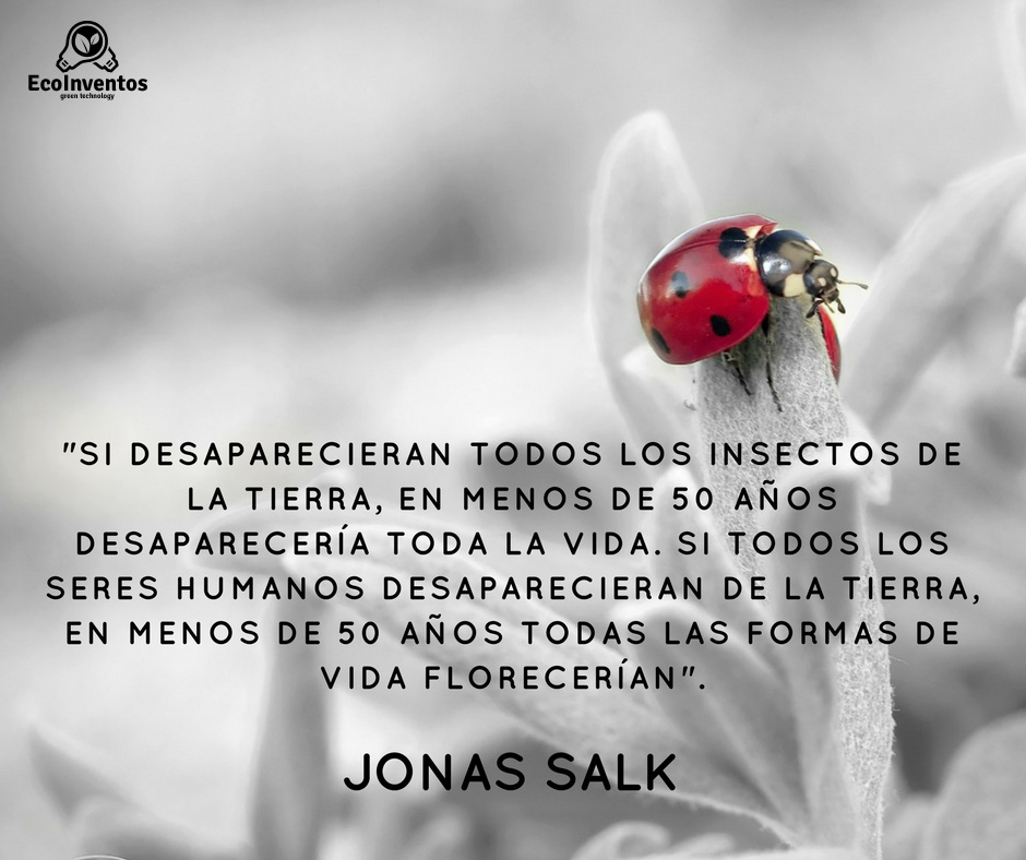 "Si desaparecieran todos los insectos de la tierra, en menos de 50 años desaparecería toda la vida. Si todos los seres humanos desaparecieran de la tierra, en menos de 50 años todas las formas de vida florecerían". Jonas Salk.