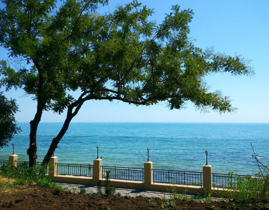 Катерина Галич tweet media